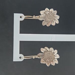 Earrings S925